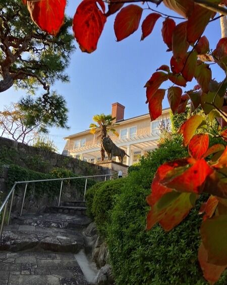 ブログ「記念館スタッフのひとり言」を更新しました。
　タイトル「ハナミズキの落葉」

#高碕記念館 #ヴォーリズ建築 #国登録有形文化財 #企画展 #ブログ更新 #無料 #予約　 #展示 #宝塚市 #雲雀丘花屋敷　#ハナミズキ　#はなみずき