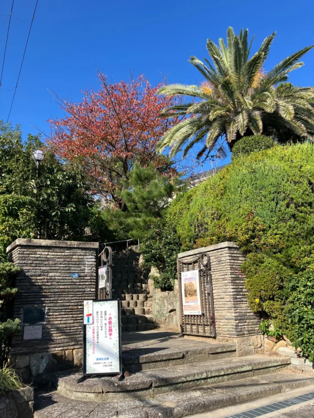 企画展開催中！　12/21(日)まで
企画展エリアはご予約なしで見学いただけます。