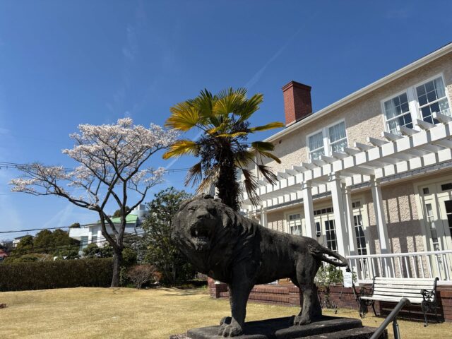 「荘川桜」満開です。
#桜　#満開　#荘川桜　#宝塚市 #雲雀丘花屋敷 #快晴 #お庭 #公開 #ヴォーリズ建築 #国登録有形文化財