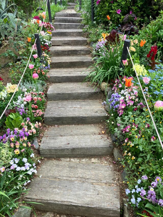 オープンガーデンフェスタ前期は本日までです。
皆様ぜひお越しください。

高碕記念館は火曜日〜日曜日の10:00-16:00開館しております。

#高碕記念館　#オープンガーデン　#お庭　#公開中　#ヴォーリズ建築