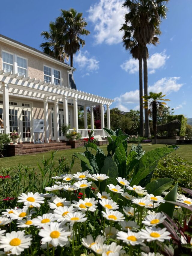 ブログ「記念館スタッフのひとり言」を更新しました。
　タイトル「ノースポール」

#高碕記念館 #ヴォーリズ建築 #国登録有形文化財 #ブログ更新 #無料 #予約　 #展示 #宝塚市 #雲雀丘花屋敷 #ノースポール